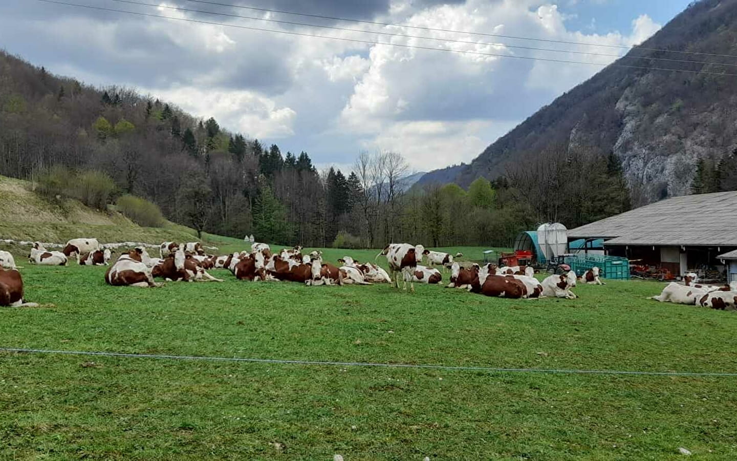 Visite de la ferme du Ban du Char