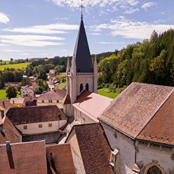Excursion between Saugeais and Pays Horloger -