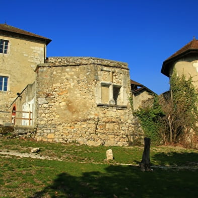 Château de Musinens