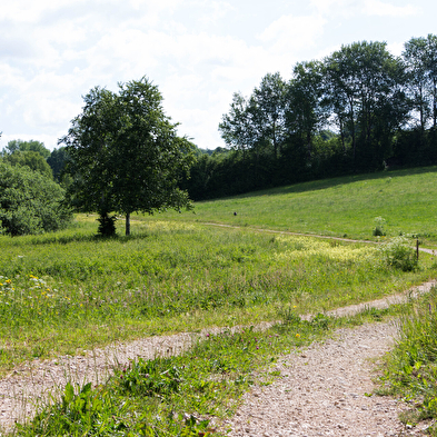 The Fort-du-Plasne lake