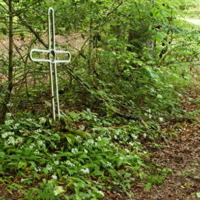 Walking loop - on the crests