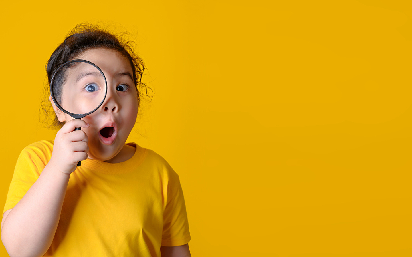 Le pré-cinéma : Focus (dès 5 ans accompagné)