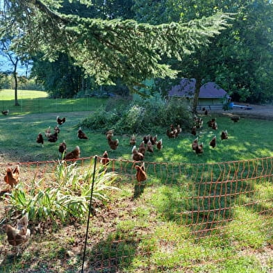 Les Pieds dans le Local®, spécial producteurs ! Visite d'exploitation : La Ferme du Mont