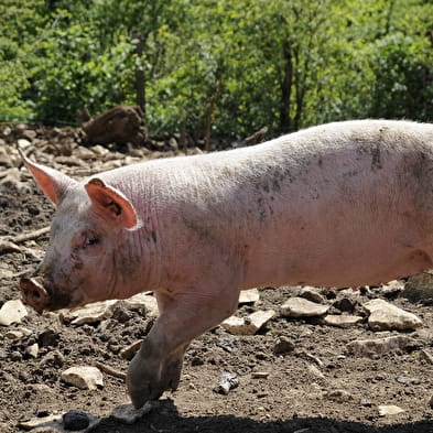 Ferme des combettes