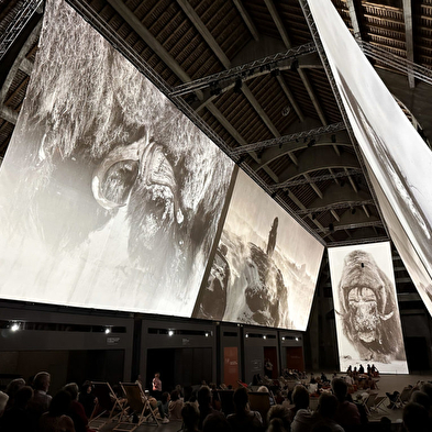 Screening of the film: 'Vincent Munier, Des Vosges au Tibet' (Vincent Munier, From the Vosges to Tibet)