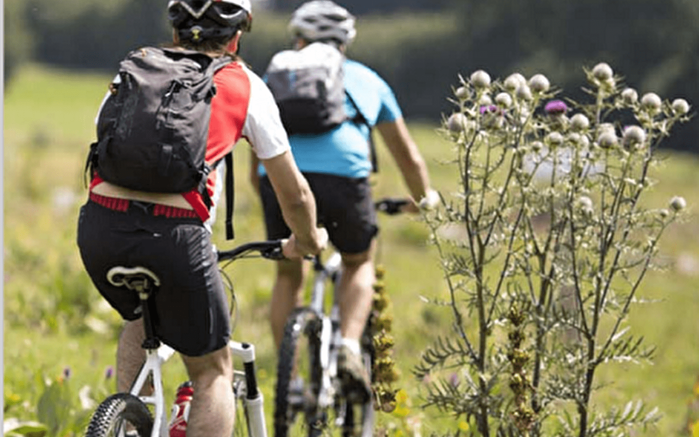 Les Chemins de la Contrebande - Les Gabelous (mountain bike)