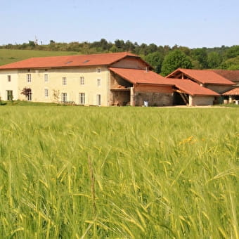 Le Clos à l'Orée des buis - AROMAS