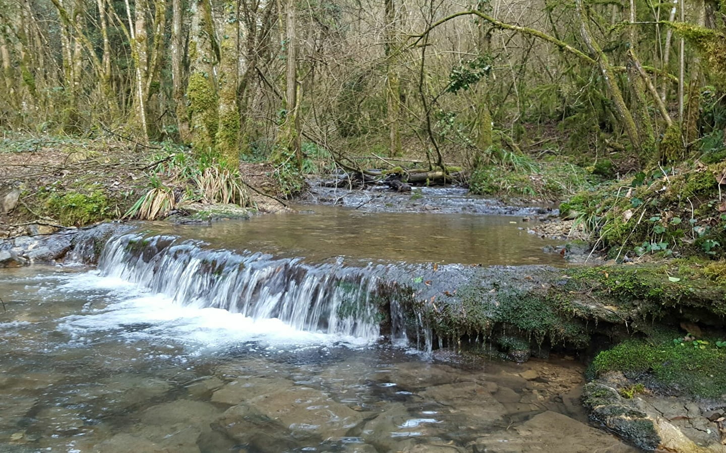 Sentier du Buizin