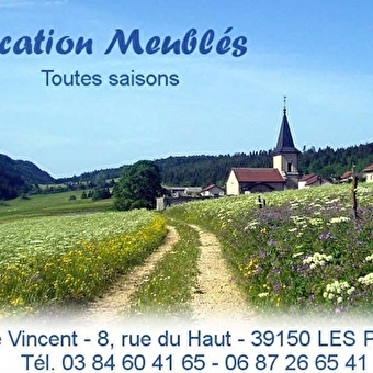 Les Forcythias - NANCHEZ