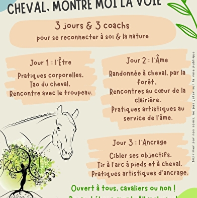 Horse-riding and well-being break in the heart of the Haut-Jura