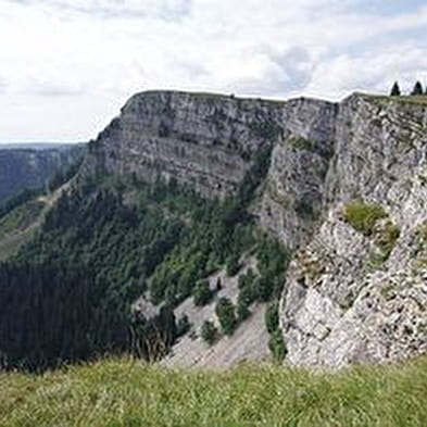 Ferme d'alpage La petite Echelle