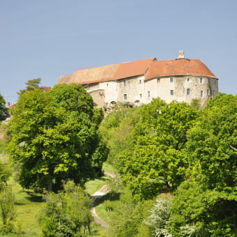 Château médiéval de Montby - GONDENANS-MONTBY