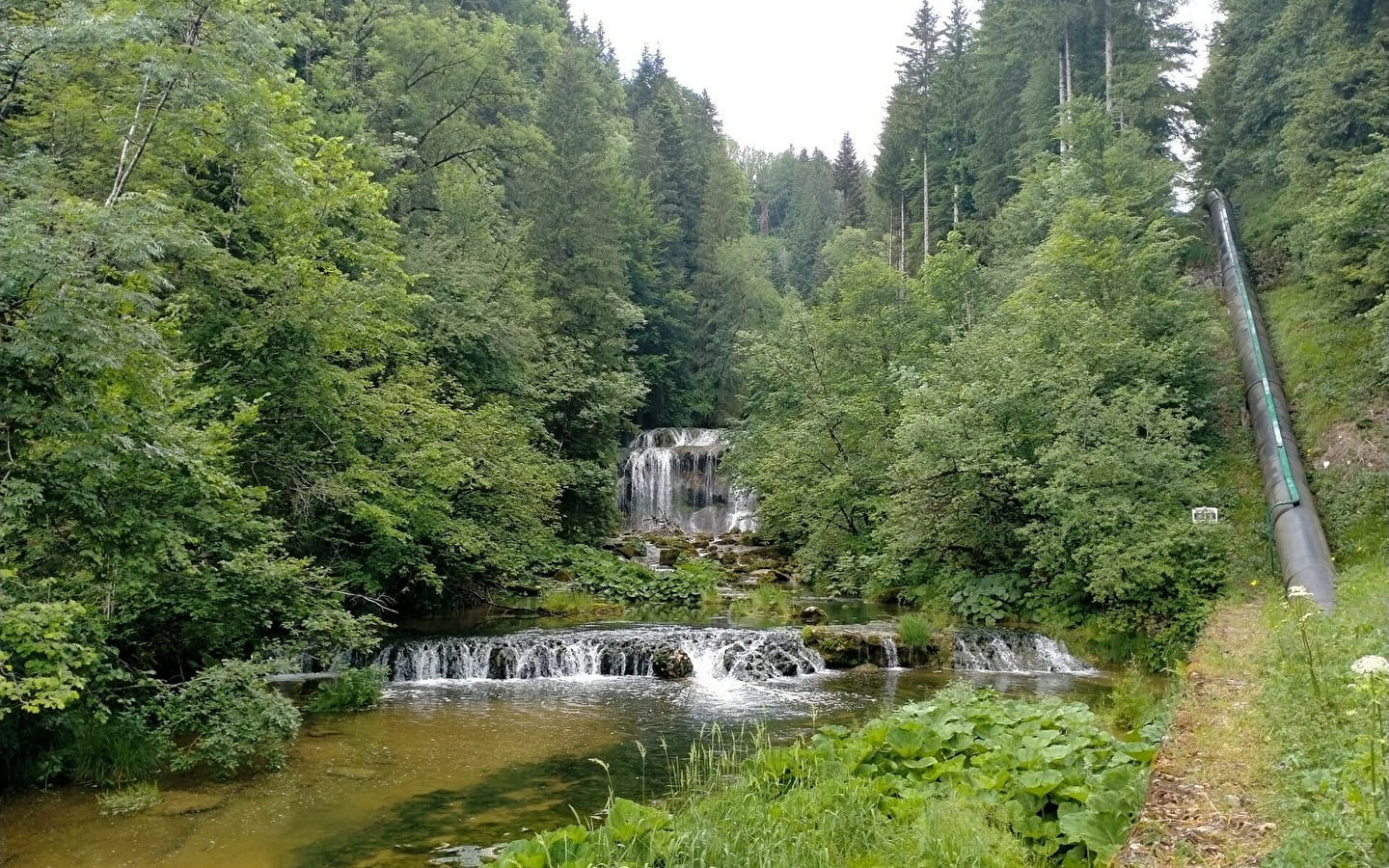 Source of the Ain and waterfall of the Moulin du Saut 