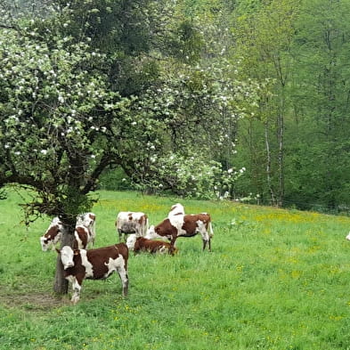 Visite de la ferme du Ban du Char