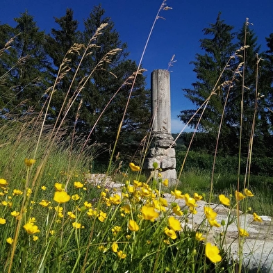 Visite guidée des vestiges du temple