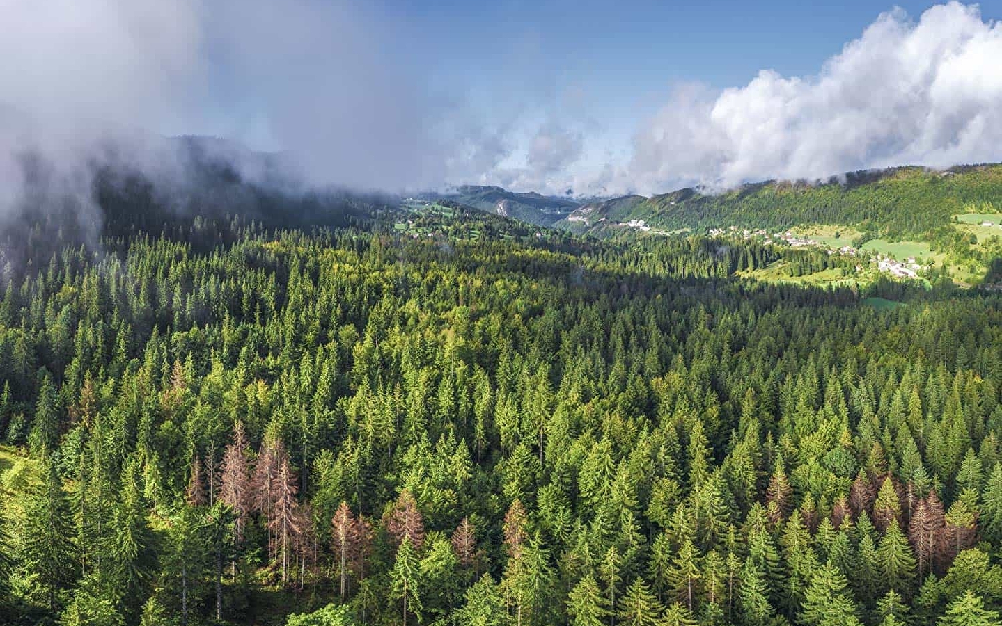 Le tour des savoir-faire - Cycle route 07