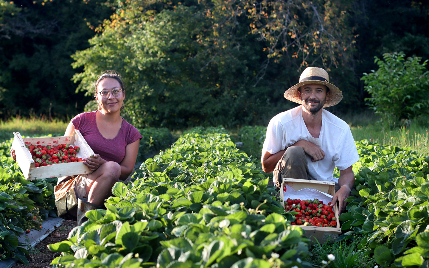 Visit to an organic fruit farm - Le Champ des Gourmands