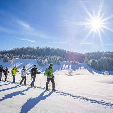 Snowshoeing trails in Nanchez