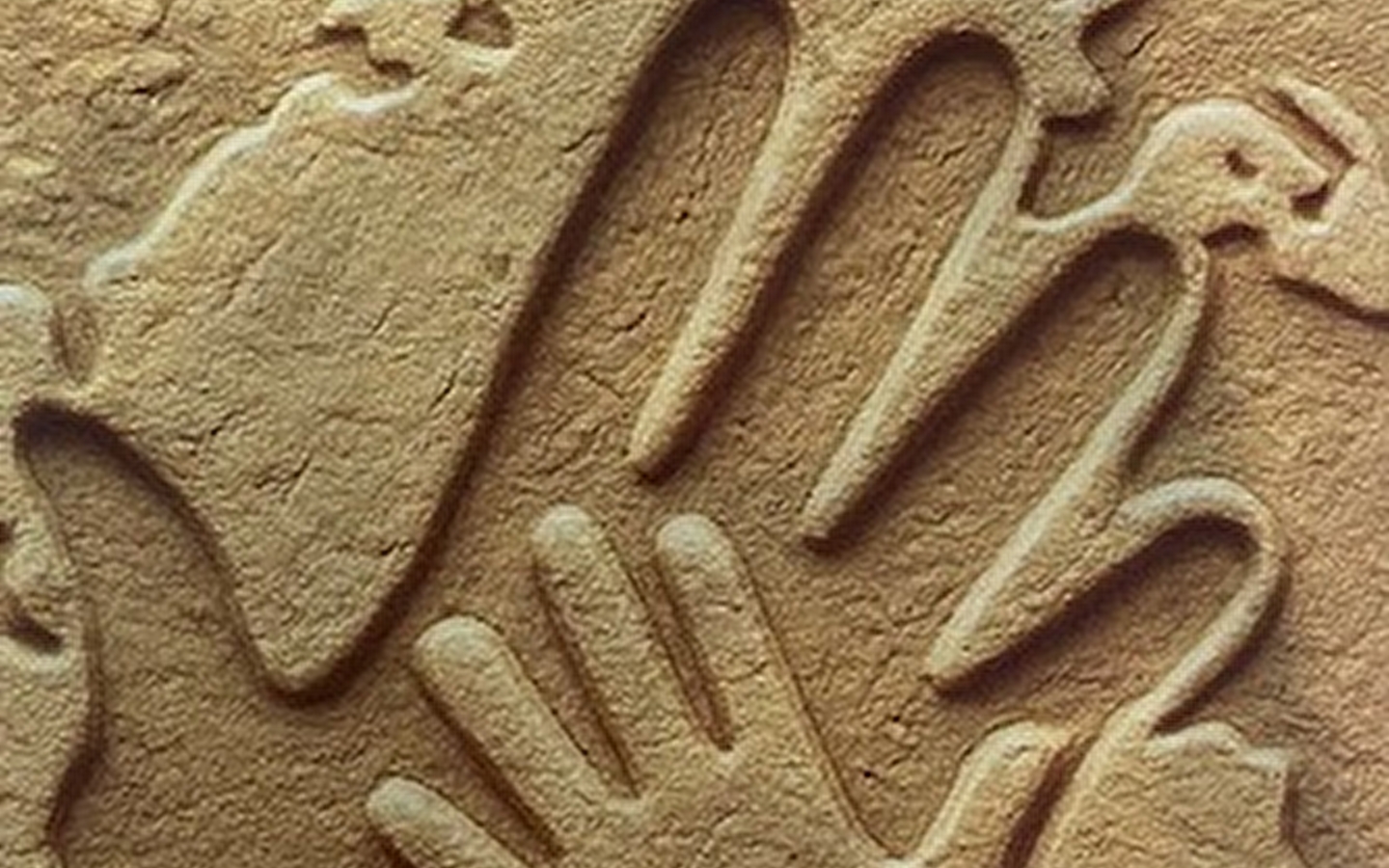 FAMILY NATURE OUTING