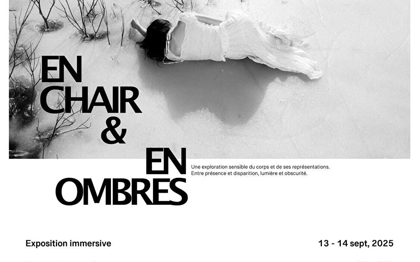 Immersive exhibition - Flesh and shadow