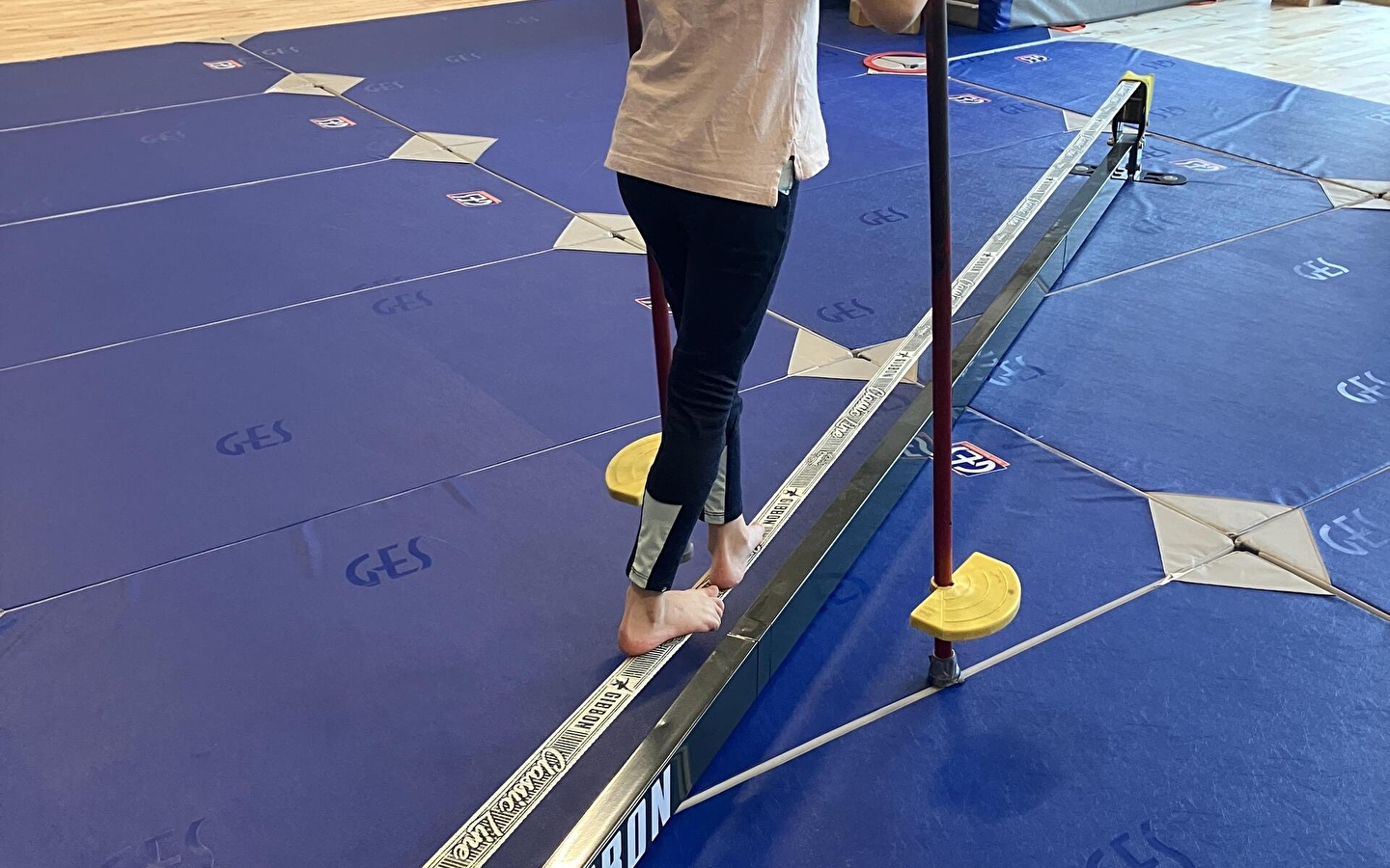 Stage cirque 4-6 ans