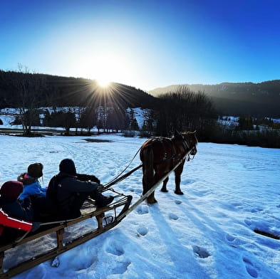 La ferme Equi'table des Monts Jura