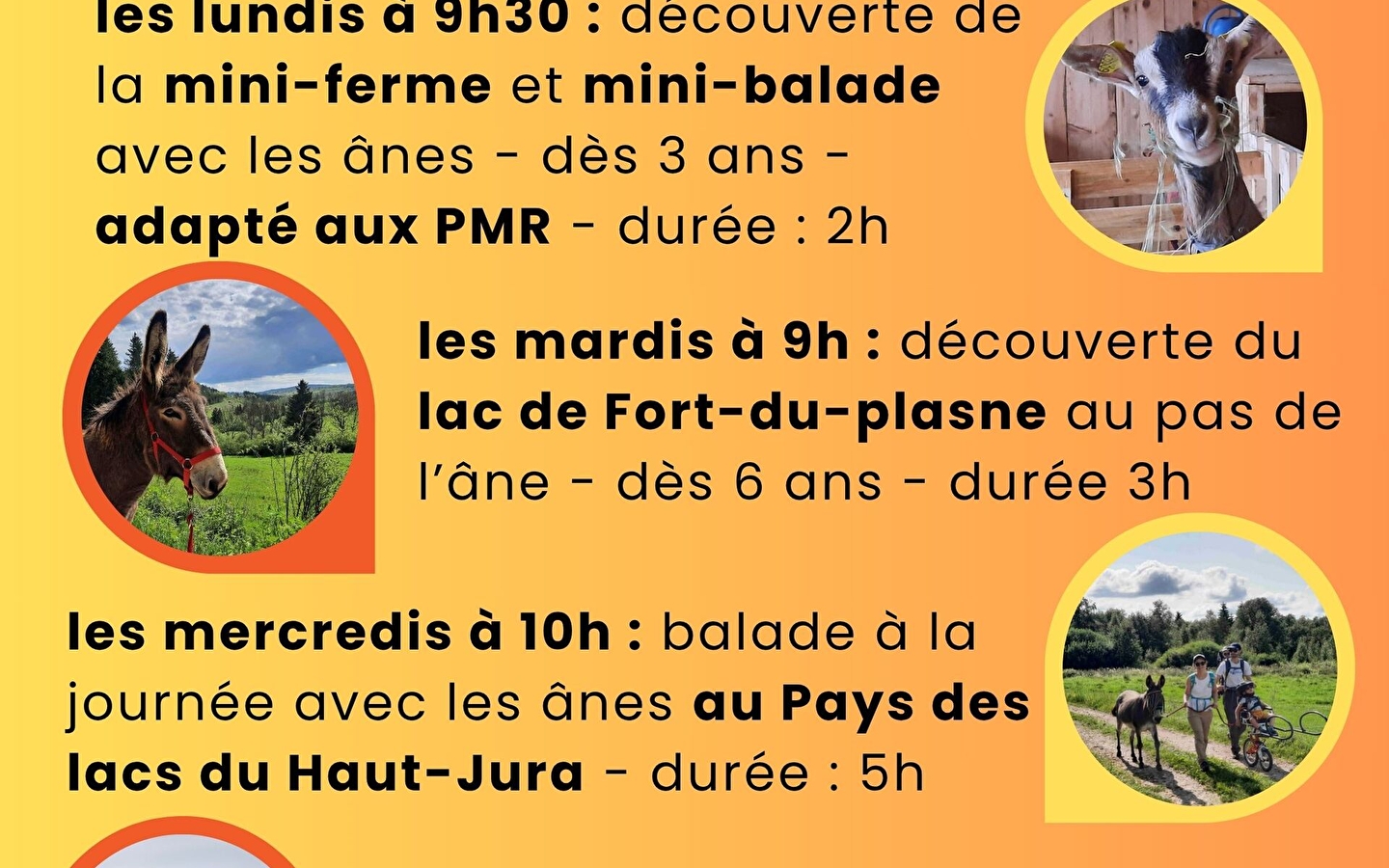 Discover the Fort du Plasne lake at donkey pace