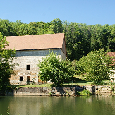 Walking trail - The banks of the Ognon at Rougemont 