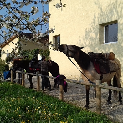 Les Sables - Grand gîte