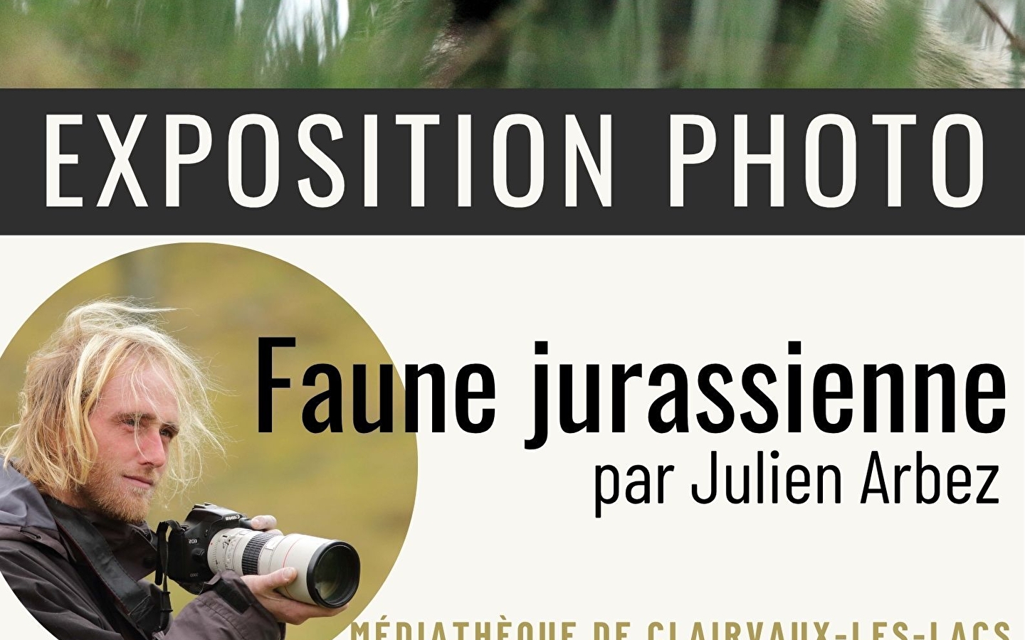 Photo exhibition - wildlife in the Jura 