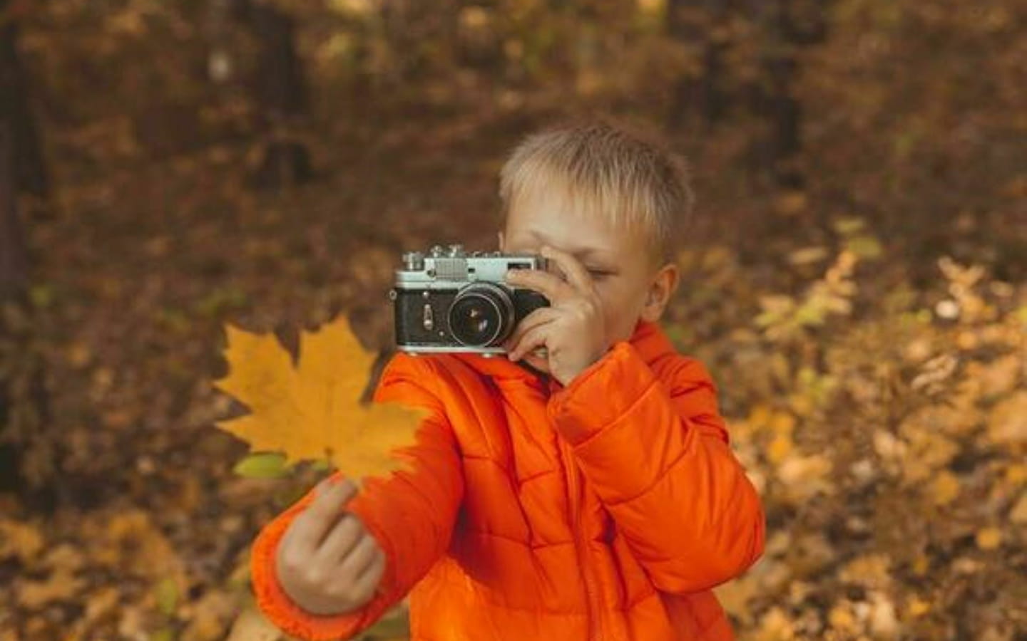 Autumn family workshop: Learning to observe living things