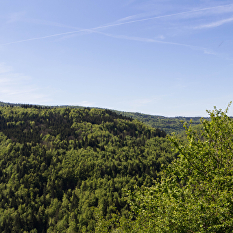 The cookers - MORBIER