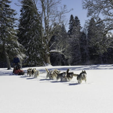 Nordic escapade at Chapelle des Bois