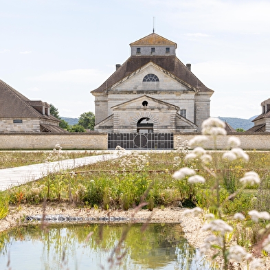 Discovery day at the Royal Saltworks 