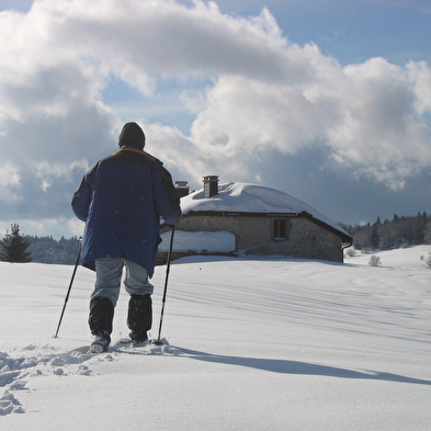 Randonnée raquettes : sur le plateau de la Dole