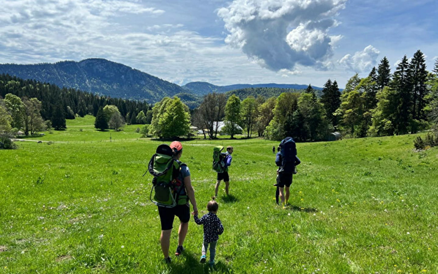 Visit the mountain pasture with the shepherd: history, heritage: the secrets of Mont d'Or