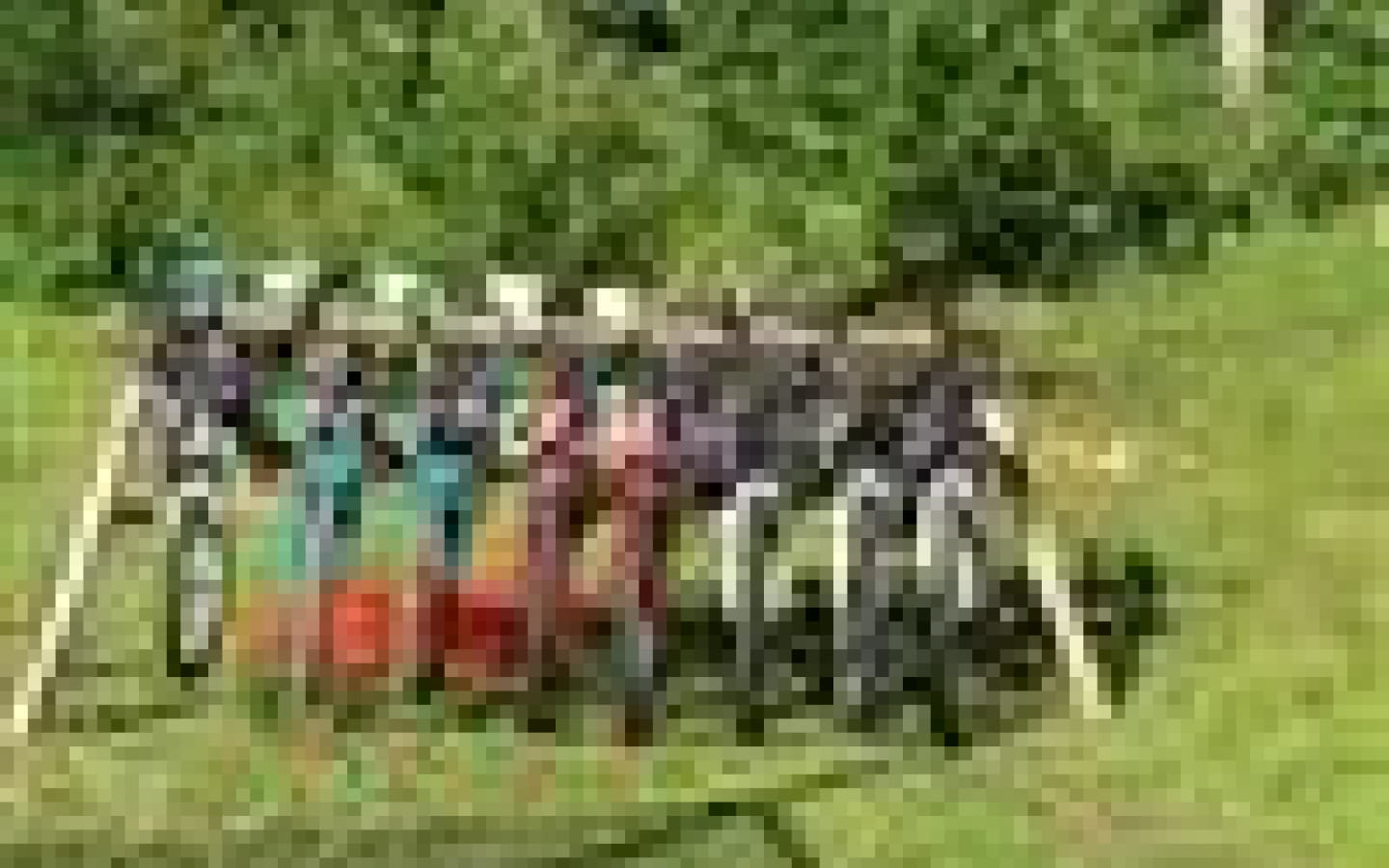 Location de VTT au Domaine du Bugnon