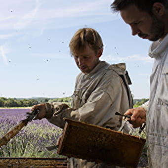 Coopérative Les Compagnons du Miel - PORT-LESNEY