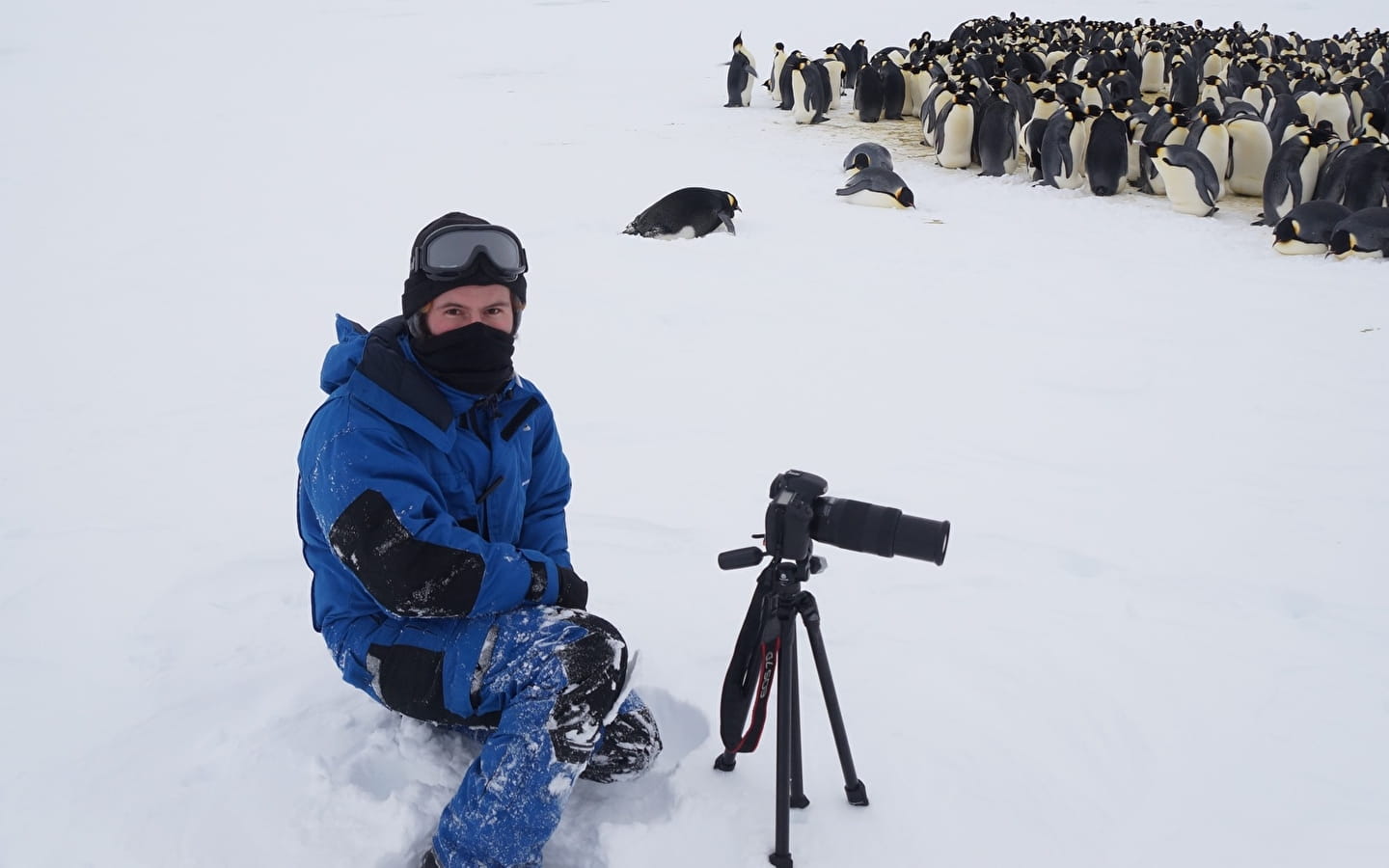 Lecture '14 months in Antarctica' by Alexis Carron, natural ecologist
