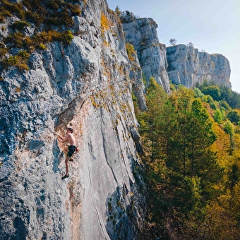 Site d'escalade de Hautepierre - LES PREMIERS SAPINS