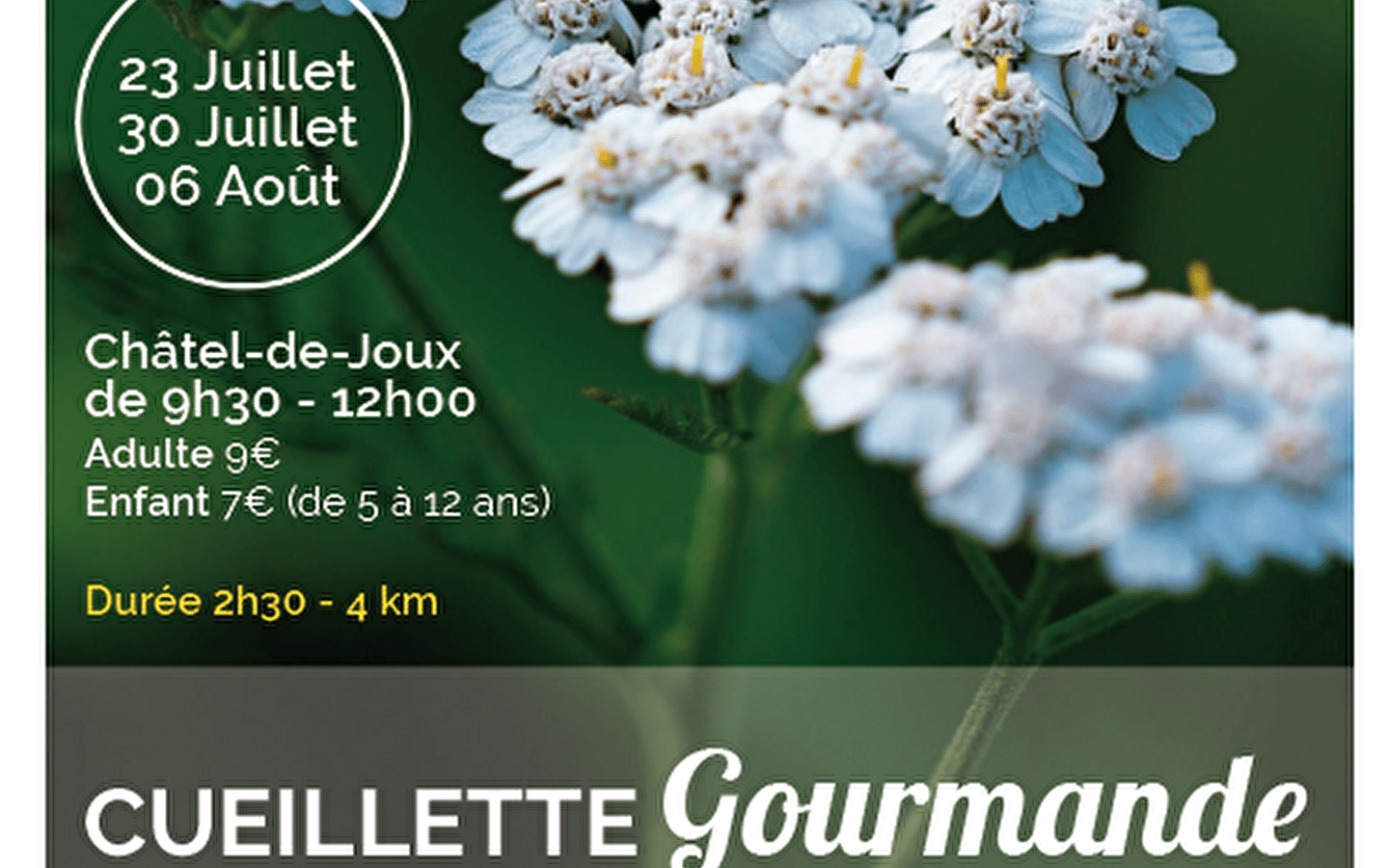 Nature outing: Gourmet picking