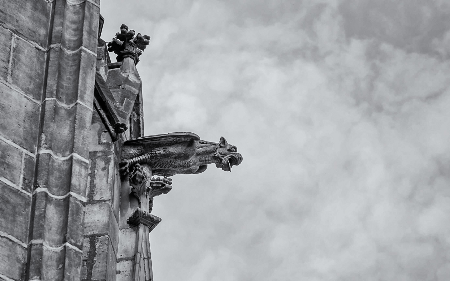 Atelier “À la découverte des gargouilles” [6-9 ans]