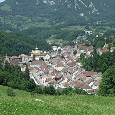 Visit to Salins-les-Bains