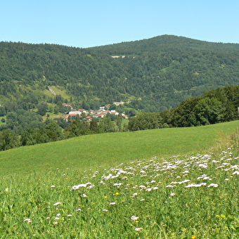 The cookers - MORBIER