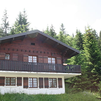 Appartement dans chalet - P401COU00 - PREMANON