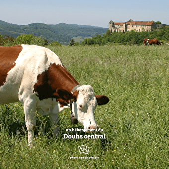 Gîte à la ferme  - BELVOIR