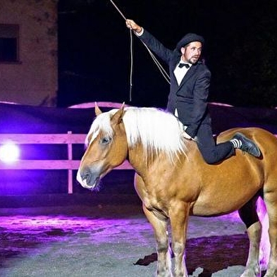 Les Comtois en Folie' equestrian show