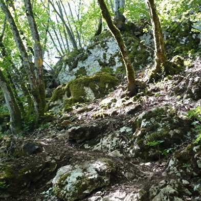 Mount dommage hiking loop