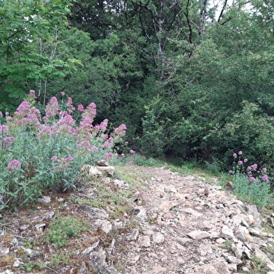 Fort de Chaudanne circuit 