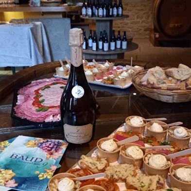 Wine and glass pairings - a journey of flavours
